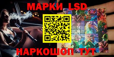 шишки Заволжье