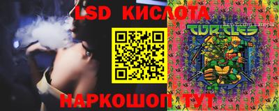 шишки Заволжье