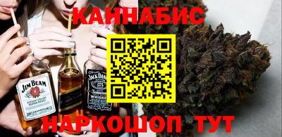 шишки Заволжье