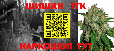 шишки Заволжье