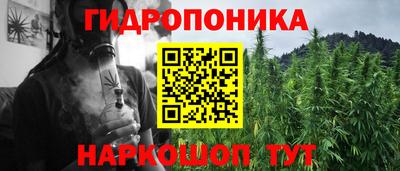 шишки Заволжье