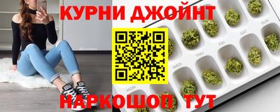шишки Заволжье
