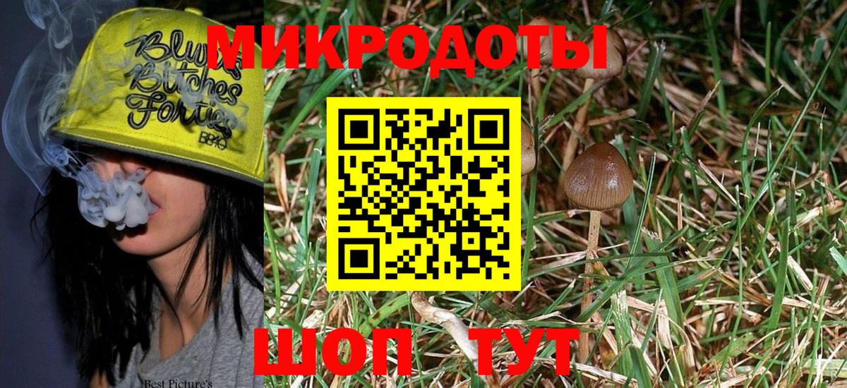 Новороссийск  Псилоцибиновые грибы Psilocybine cubensis  Вход с VPN 
