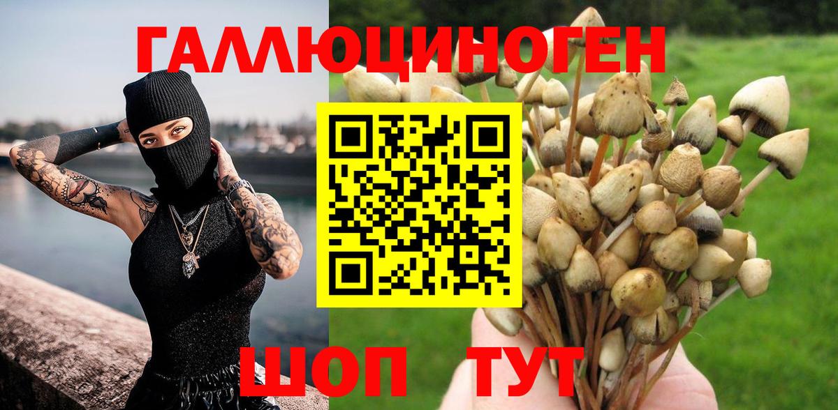 Галлюциногенные грибы Cubensis Новороссийск