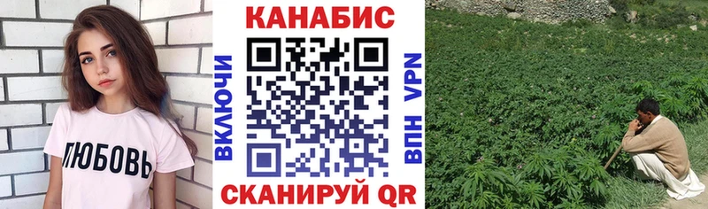 продажа наркотиков Новороссийск Шишки марихуана гибрид